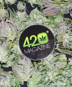 420 Magazine Sticker